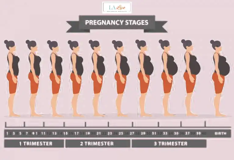 First Trimester (Weeks 1–12): Early Changes You Might Not Notice Greater London (Redbridge)